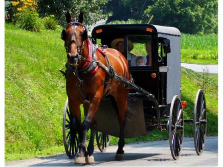 Amish Hoa Ky